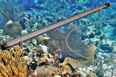 Aquarium LED-Leiste Caribbean Reef