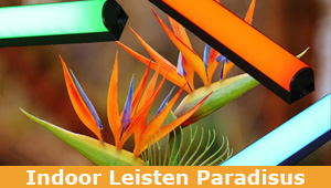 LED-Leisten Indoor Paradisus