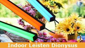 LED-Leisten Indoor Dionysus