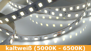 LED-Strips | Leuchtfarbe | kaltweiß (5000K - 6500K)