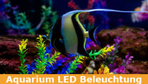hochwertige LED Aquarien Beleuchtung - Licht-Szenarien der Natur simulieren