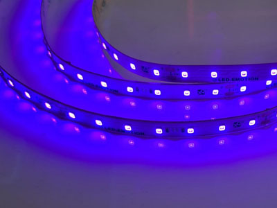 UV - LED Streifen / Schwarzlicht LED