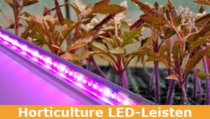 LED-Leisten Horticulture | Pflanzenlicht | Grow Light