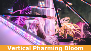LED-Modul Vertical Pharming Bloom | Blütephase