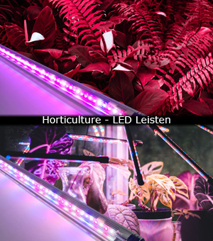 Horticulture Beleuchtung | LED-Leisten Horticulture | Pflanzenlicht