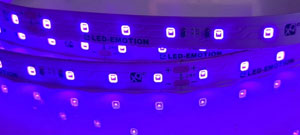 LED UV Streifen / UVA LED Streifen | Schwarzlicht LED