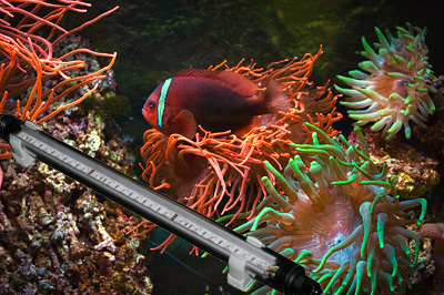 LED-Leiste Colorful Day | RGB Aquarium Leiste