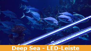 LED-Leiste Deep Sea | Aquarium | blaues Spektrum | Salzwasseraquarien