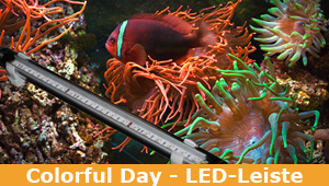 LED-Leiste Colorful Day | Aquarium | ausgezeichnete Farben