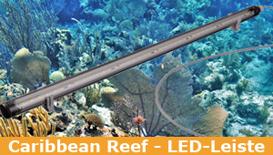 LED-Leiste Caribbean Reef | Aquarium | enorm leuchtstark & super effizient