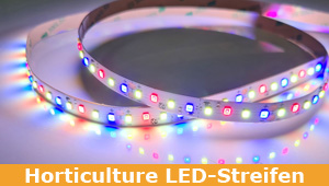 Horticulture LEDs - Pflanzenbeleuchtung