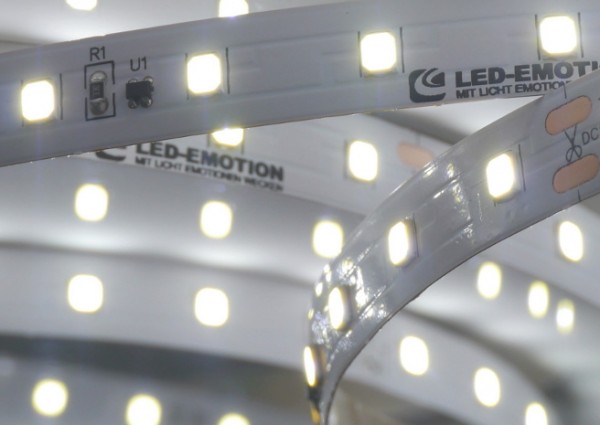 XQ Eco+ LED-Streifen, 80LEDs/m, 6200K 1494lm/m, 9.6W/m, 12V