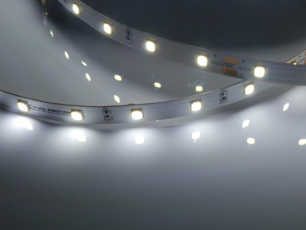 Eco-Line LED-Streifen, 6500K purweiß, 1200lm/m, 7,7W/m, 56LEDs/m, 24V